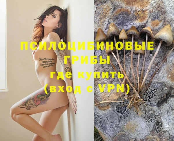 каннабис Надым