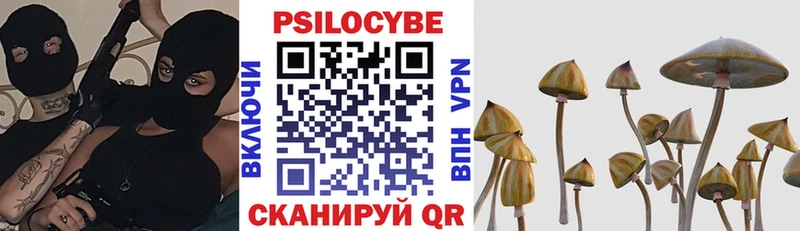 Псилоцибиновые грибы GOLDEN TEACHER  Губкин 
