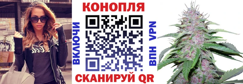 darknet какой сайт  Губкин  Бошки марихуана индика  дарнет шоп 
